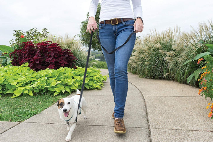 PetSafe 3-in-1 Hundegeschirr, Anti-Zieh, Hundegeschirr für Autogurt, Hundegeschirr Auto, Anti-Zug Hu