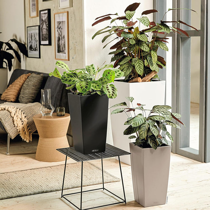 LECHUZA CUBICO Color 40 weiss 13150 Weiss 39.5x39.5x75.5 cm, Weiss 39.5x39.5x75.5 cm