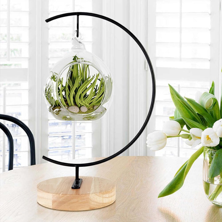 Ornament Display Stand - Runde Holz Eisen Hängende Stand Pflanzen Halter für hängende Glas Globe Air