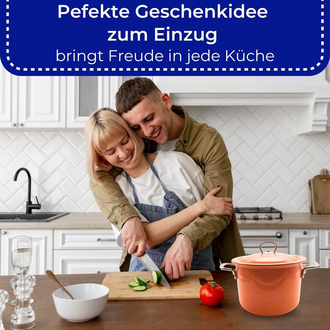 Riess, 2189-001, Fleischtopf mit Deckel 20cm, 4L, Emaille, CLASSIC Edition, Mango