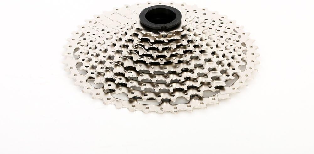 SunRace 11-Fach Box (11-42cm) 11V/11-46T Grigio, 11V/11-46T Grigio