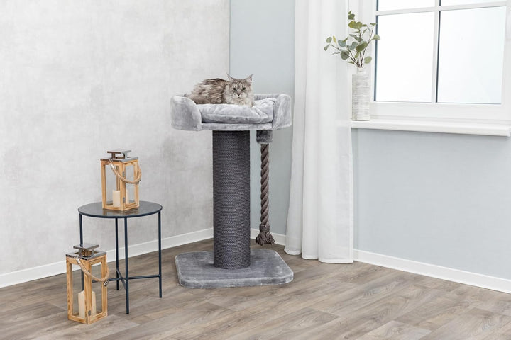 TRIXIE stabiler Katzenbaum für besonders grosse Katzen "Kratzbaum XXL Klara, 100 cm, grau"- 44676 Gr