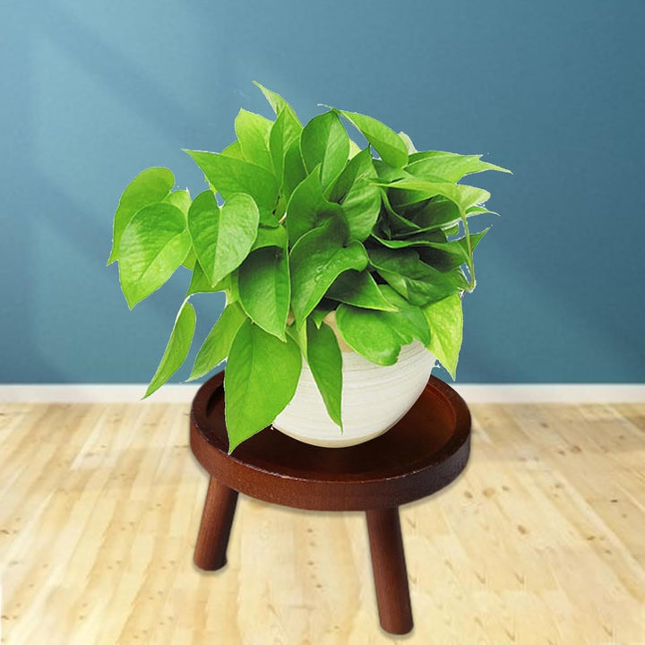 Blumenhocker Blumen Hocker Pflanzenständer Blumenständer Für Drinnen Retro Blumenständer Pflanzenstä
