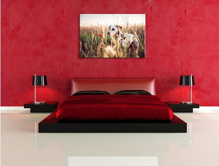Neugieriger Hund im Feld, Format: 100x70 auf Leinwand, XXL riesige Bilder fertig gerahmt mit Keilrah