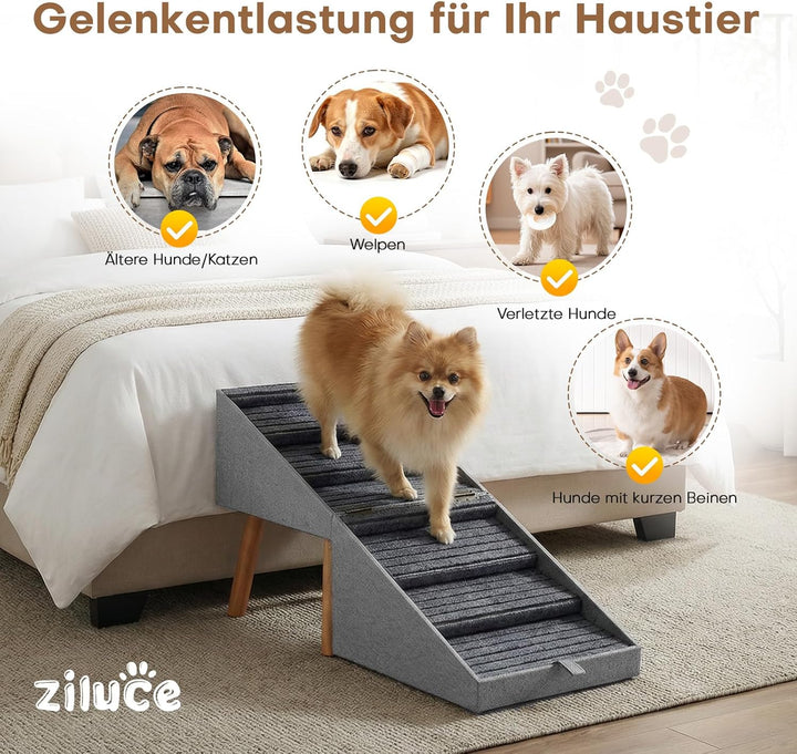 Hunde Treppe für kleine Hunde und Katzen für Couch und Bett, Klappbare 2-in-1 Holz Haustier Schritte