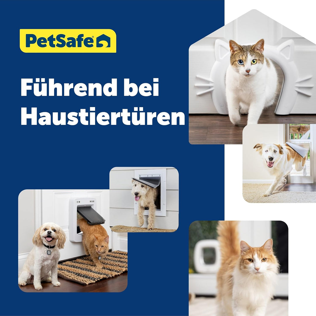 PetSafe Haustierklappe für extremes Wetter, Solider Kunststoffrahmen, Isolierend mit 2 Verschlussopt