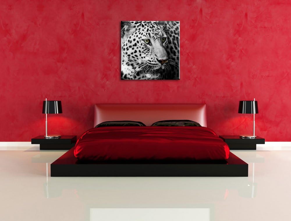 Pixxprint Stolzer Leopard, Format: 70x70 auf Leinwand, XXL riesige Bilder fertig gerahmt mit Keilrah