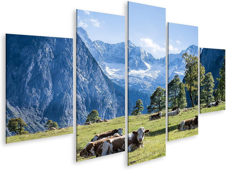 islandburner Bild auf Leinwand Kühe Auf Wiese In Den Bergen Alpen Kuhwiese Bilder Wandbilder Poster