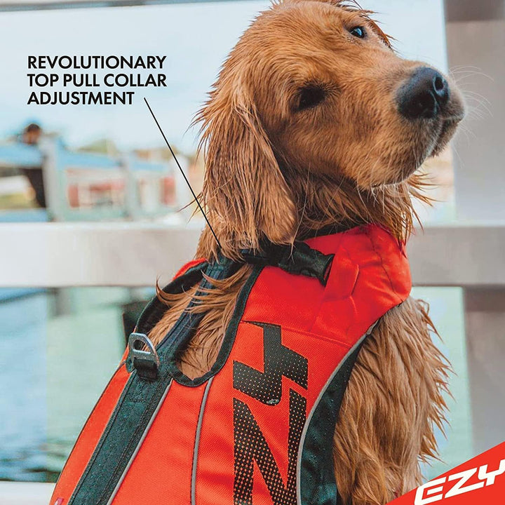 EzyDog Schwimmweste Hund – Premium Schwimmhilfe für kleine, mittlere &amp; grosse Hunde – DFD X2 Boost R