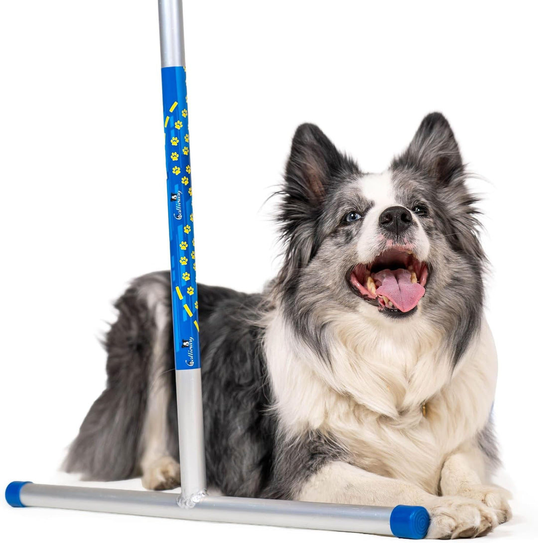 Hoopers Agility Hoops - NADAC Hoopers Agility Hoops ohne Mittelstrebe (Grosspackung) Weiss, Weiss