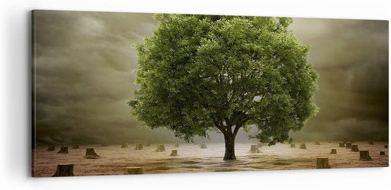 Wandbilder Dekoration Wohnzimmer Baum Feld Umwelt Panorama Bilder auf Leinwand 120x50cm Leinwandbild