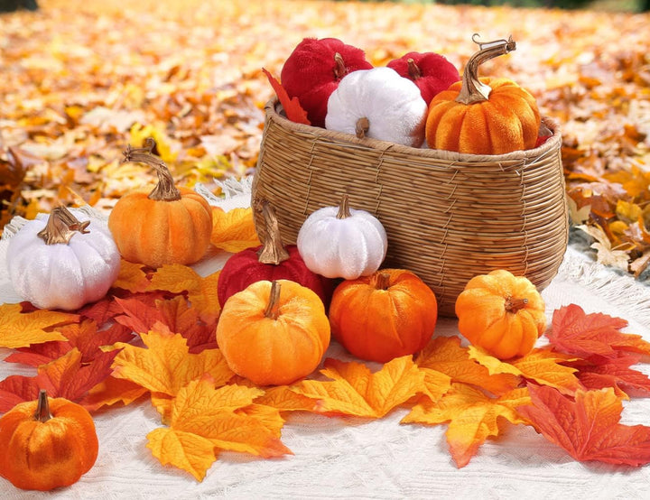 12PCS Herbst Deko, Halloween Kürbis set, Kürbisse , Samt Plastik mini mit 24 Pcs künstliche Ahornblä