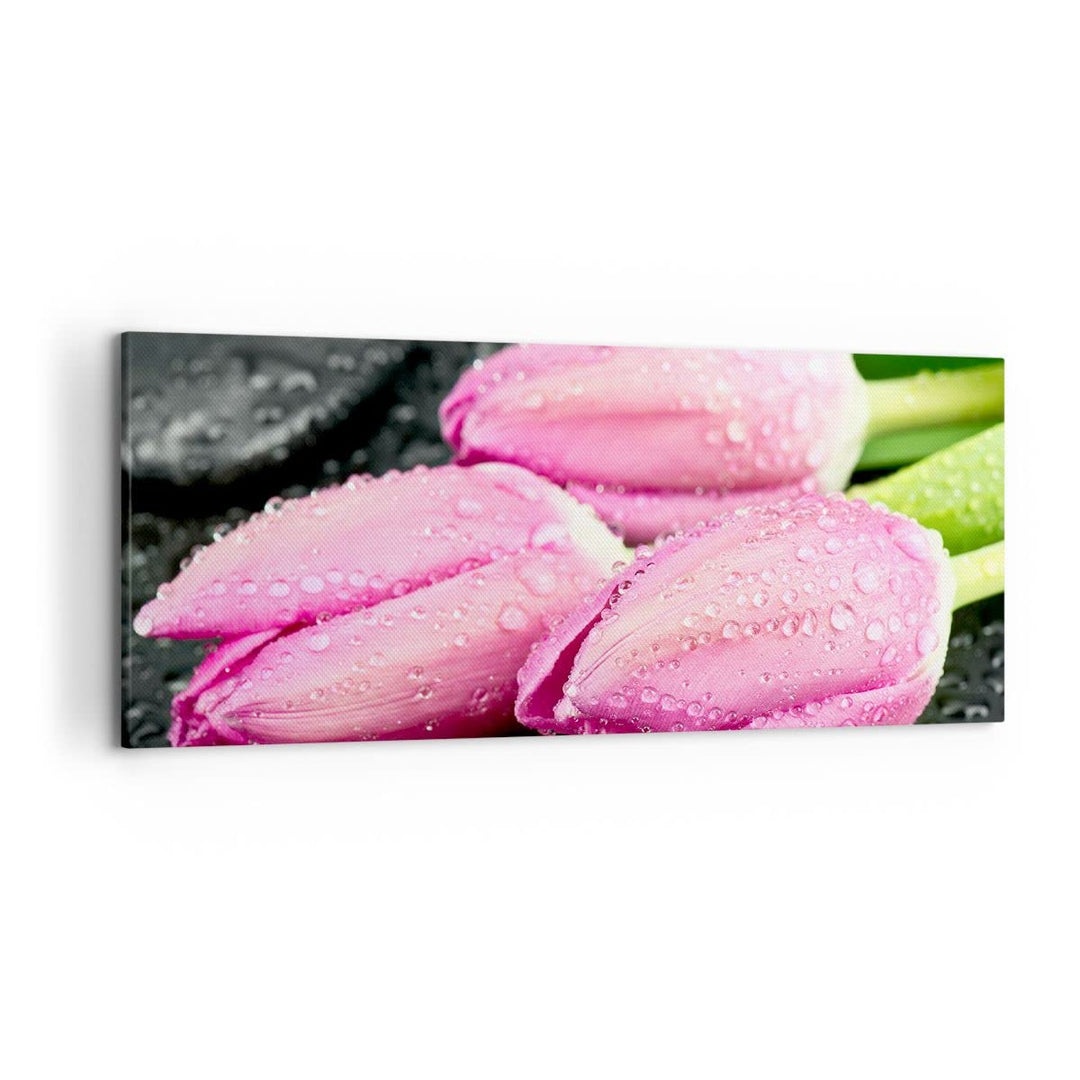 Wandbilder Dekoration Wohnzimmer Tulpen Tau Steine Pflanze Panorama Bilder auf Leinwand 120x50cm Lei