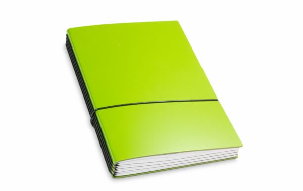 X17 Notizbuch A5, grün; aus recyceltem Leder. Austauschbare Notizhefte (blanko, liniert, kariert, ge