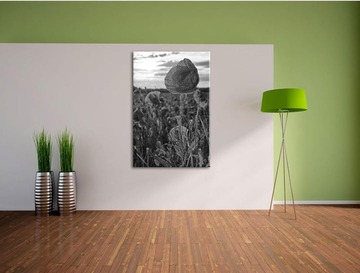 Mohnfeld Kunst B&W, Format: 100x70 auf Leinwand, XXL riesige Bilder fertig gerahmt mit Keilrahmen, K