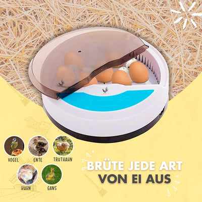 CHIKERS Brutautomat Vollautomatisch – Inkubator Hühner 9/12 eir – Brutmaschine mit Temperaturregelun