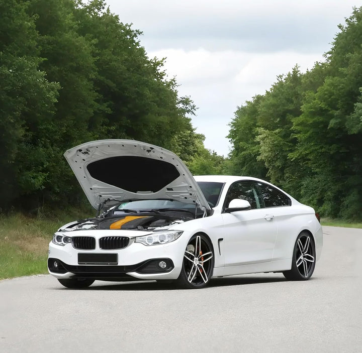 Arana Gasdruckfeder Motorhaube Kompatibel mit 2004-2016 BMW 3er E90 E91 E92 E93 316 318 320 323 325