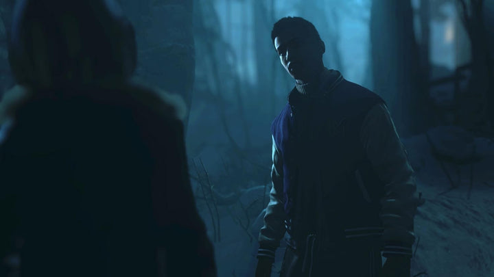 Until Dawn (Sony PS4) (UK Import)