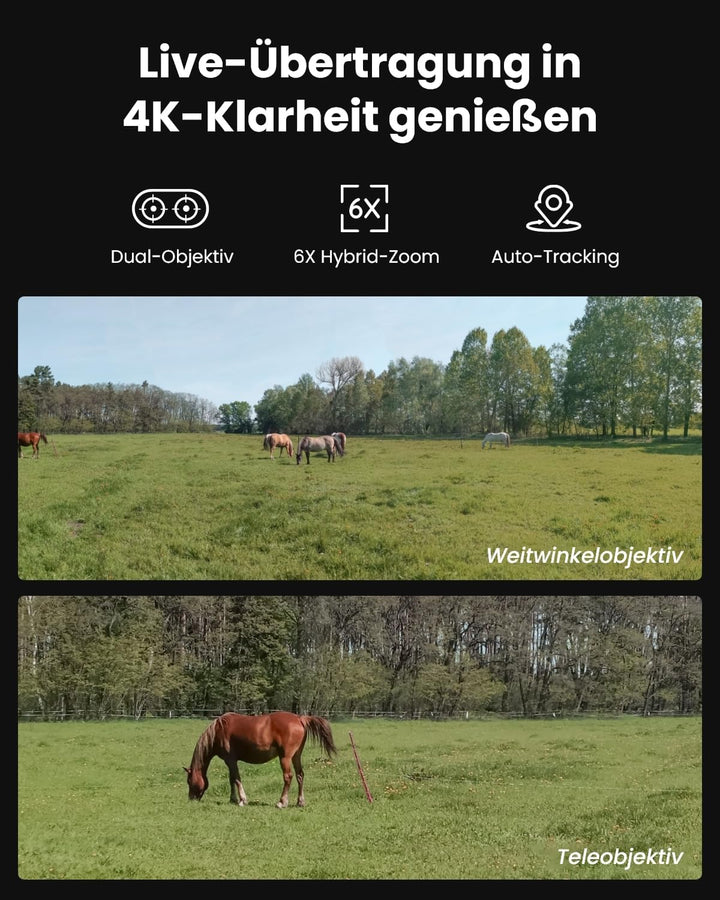 Reolink 4K 4G LTE Überwachungskamera mit SIM-Karte, Dual-Objektiv, Auto-Tracking, Wildkamera Solar A