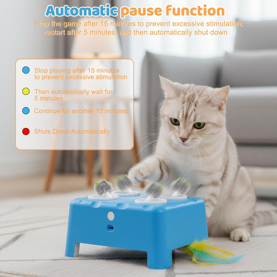 Focenat 2-in-1 Automatisches Katzenspielzeug, Interaktives Katzenspielzeug, Wiederaufladbares Katzen