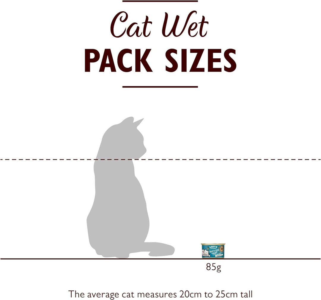 Lily's Kitchen Leckere Stücke mit Meeresfisch in Sosse für Katzen (24 x 85g)