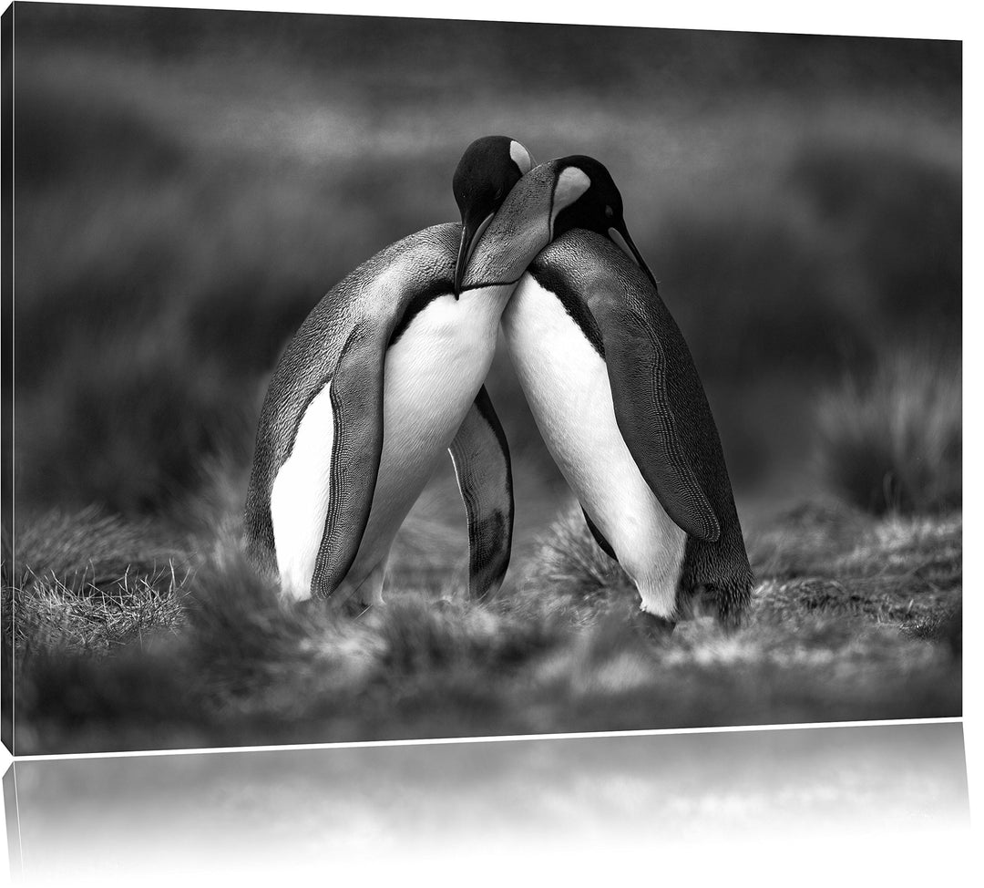 Pinguine in der Antarktis als Leinwandbild/Grösse: 100x70 / Wandbild/Kunstdruck/fertig bespannt, 100