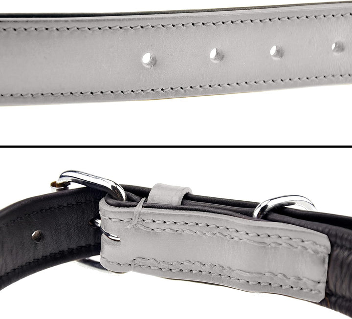Schnüffelfreunde Halsband für Hunde aus Leder, Hundehalsband für den grossen, mittleren und kleinen