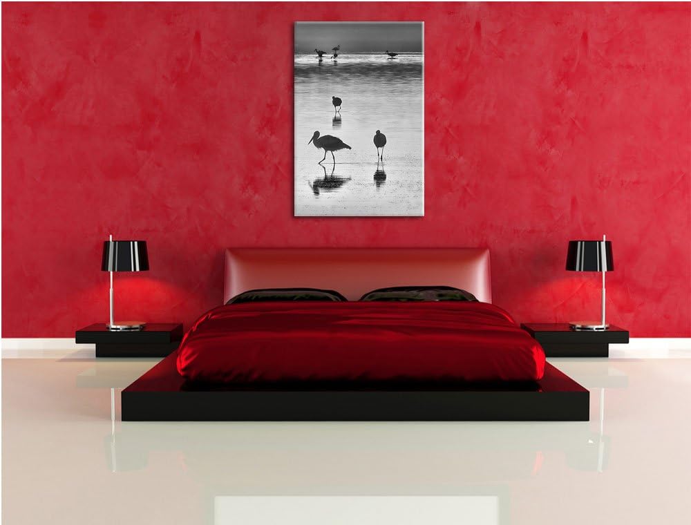 Pixxprint Störche im Wasser als Leinwandbild | Grösse: 100x70 cm | Wandbild | Kunstdruck | fertig be