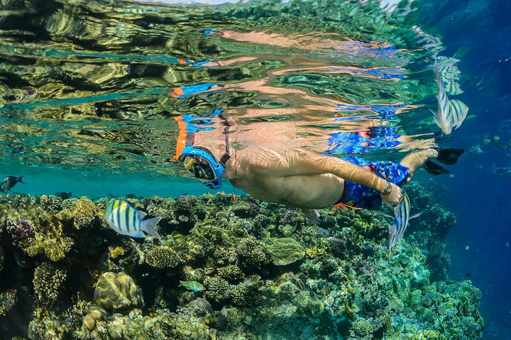 OCEAN REEF - Aria QR + Schnorchelmaske - Vollmaske mit Mundstück - Für eine bessere 180 Grad Unterwa
