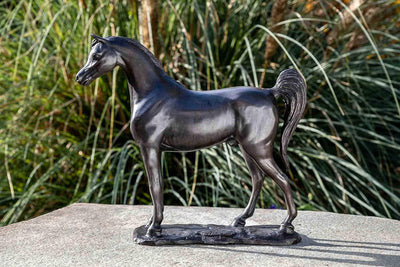 IDYL Bronze-Skulptur Arabisches Pferd | 30x10x33 cm | Tierfigur aus Bronze handgefertigt | Wetterfes