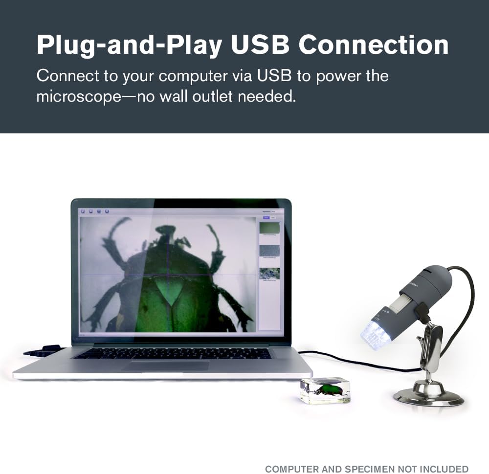 Celestron Deluxe Capture Your Discoveries 44302-C Handheld Digitalmikroskop, Grau Deluxe, Handgerät,