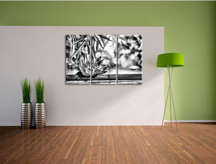 Pixxprint Seerose auf Bambus Wellness als Leinwandbild/Grösse: 3 Teilig (120x80) cm/Wandbild/Kunstdr