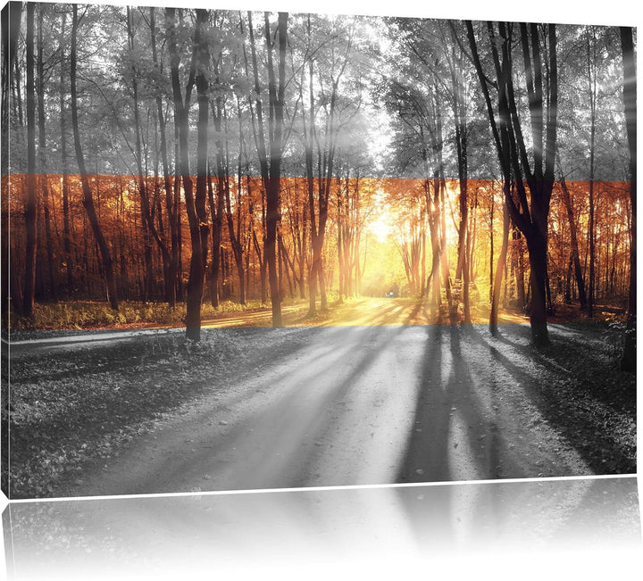 Allee im Herbstlicht schwarz/weiss Format: 100x70 auf Leinwand, XXL riesige Bilder fertig gerahmt mi