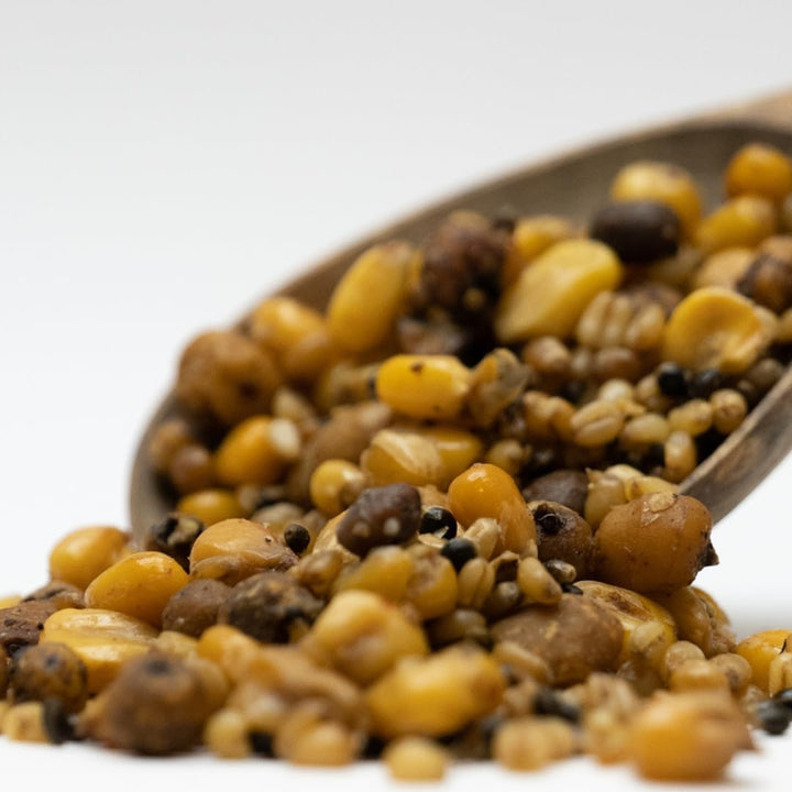 MK Particle Mix 5 kg – Fertiger Partikelmix für Karpfen