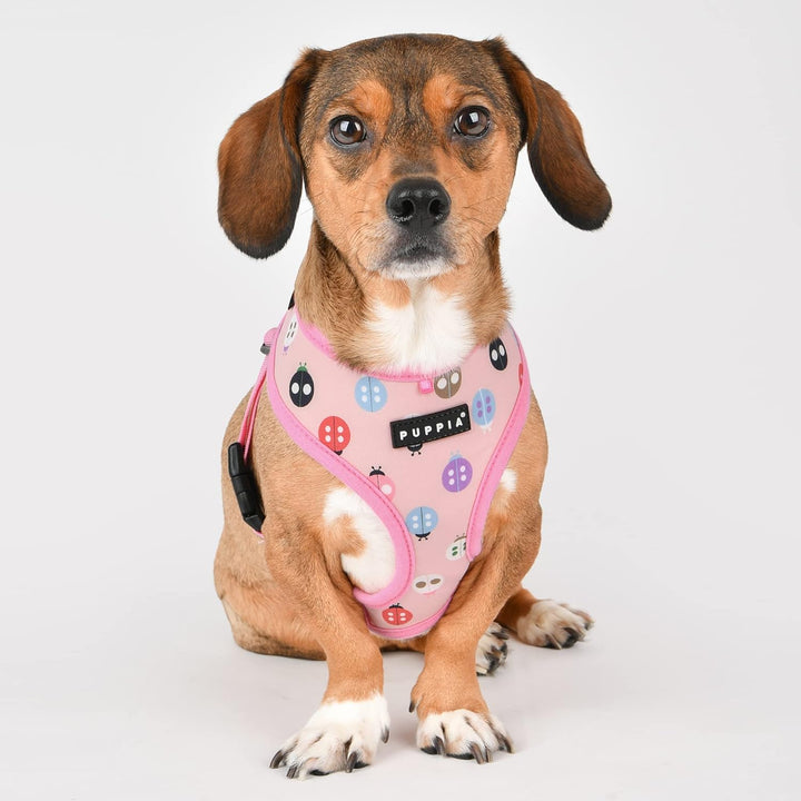 Puppia Lady Beetle Harness A, Farbe: Pink, Grösse: XL PINK_LADYBEETLE Extra Large, PINK_LADYBEETLE E