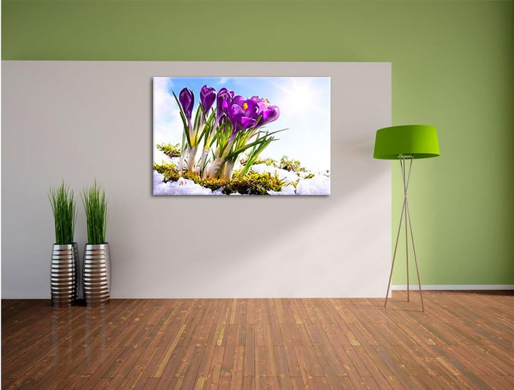 Pixxprint Kunst Frühling Flower Hintergrund / 100x70cm Leinwandbild bespannt auf Holzrahmen/Wandbild