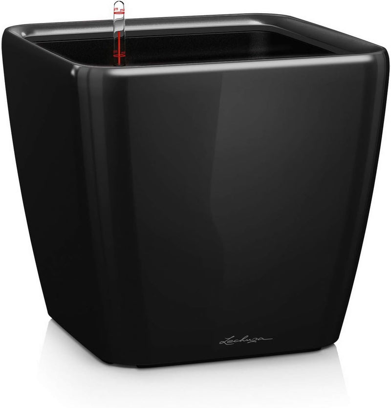 LECHUZA QUADRO Premium LS 35 schwarz hochglanz 16169 35x35x33 cm Schwarz Hochglanz, 35x35x33 cm Schw