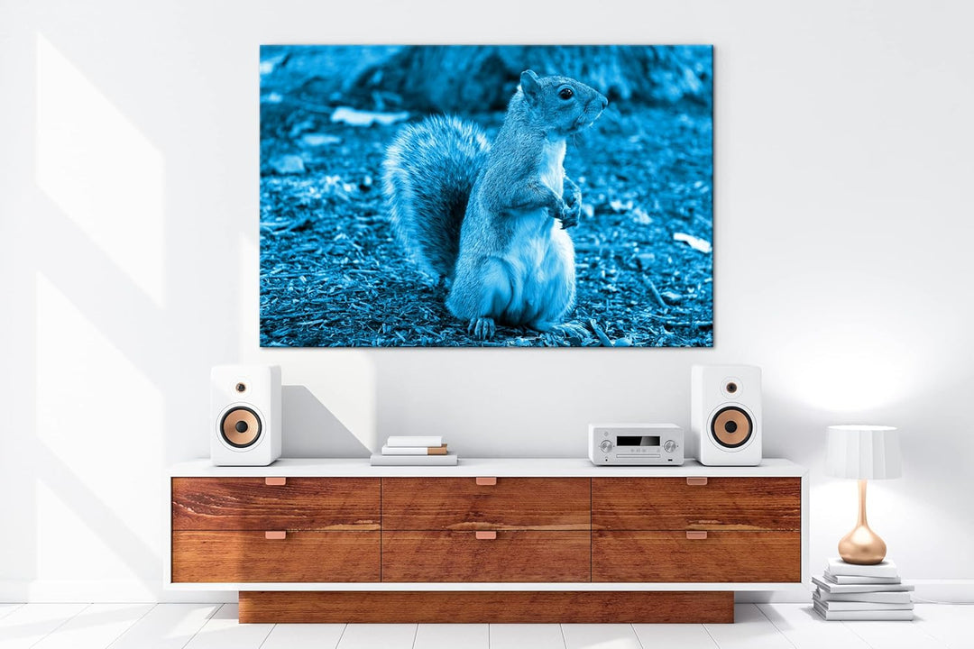 deyoli niedliches Eichhörnchen im Park Format 100x70 Effekt: Monocrome Blau als Leinwandbild, Motiv