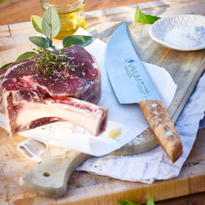 F. DICK BBQ Messer ASADOR VIVUM 22 cm - rostfrei, Klinge extra scharf, 58 HRC, Zerlegemesser Birkenh