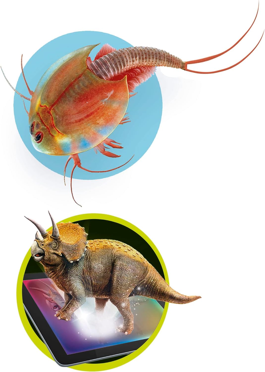 Clementoni -52566 Gesellschaftsspiel, 52566, 30 x 20 x 15 cm