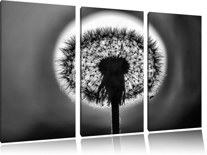 Pixxprint Pusteblume als Leinwandbild/Grösse: 3 Teilig (120x80) cm/Wandbild/Kunstdruck/fertig bespan