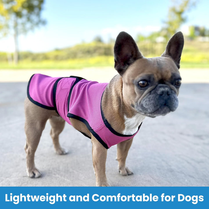 DOGZSTUFF Kühlweste für Hunde, leichte Jacke mit verdunstender Kühl-Mikrofaser-Technologie, UV-Schut