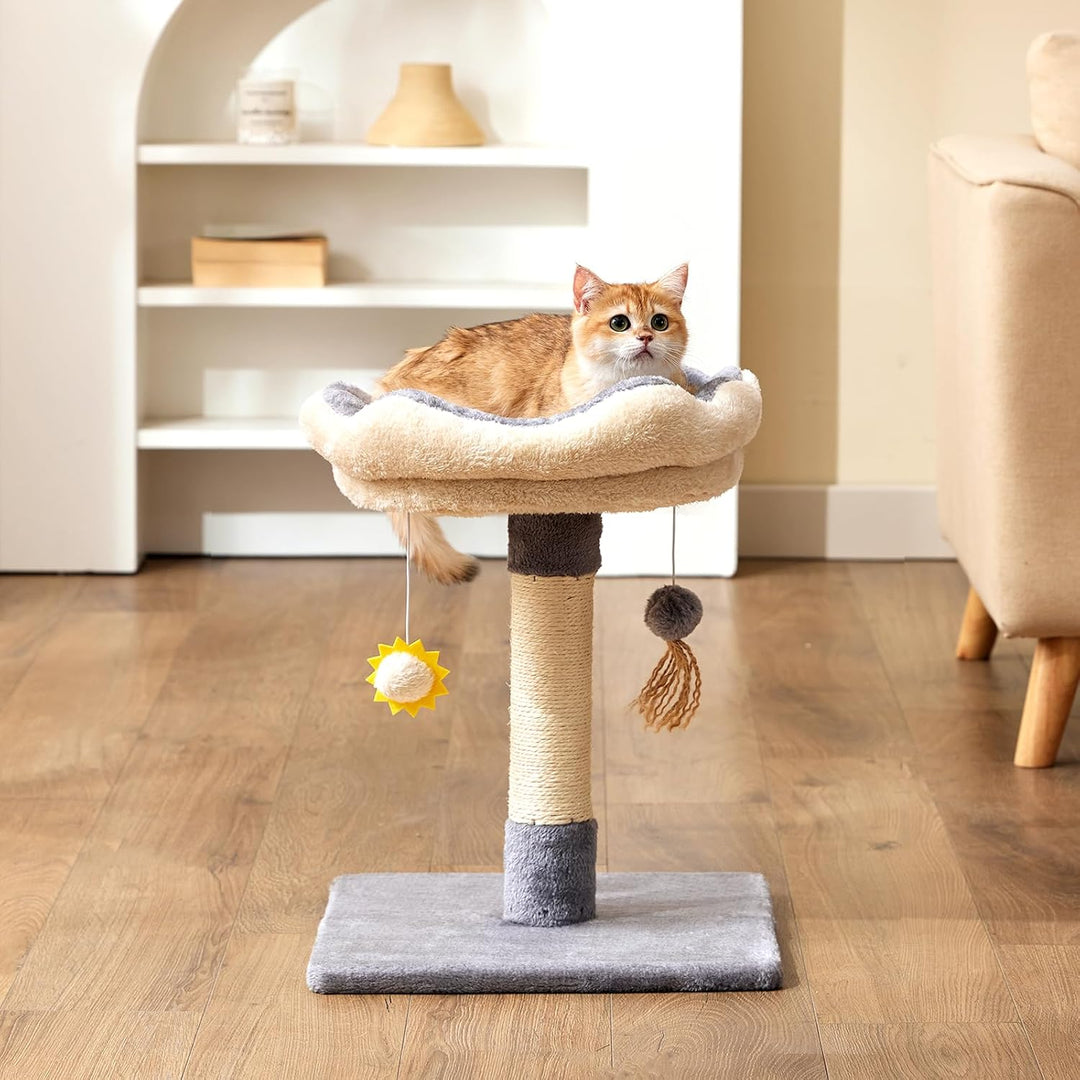 Gardner Pet Kleiner Katzenbaum, Kratzbaum klein mit 34 x 30 cm gepolsterter Plattform, 51 cm hoch Ka