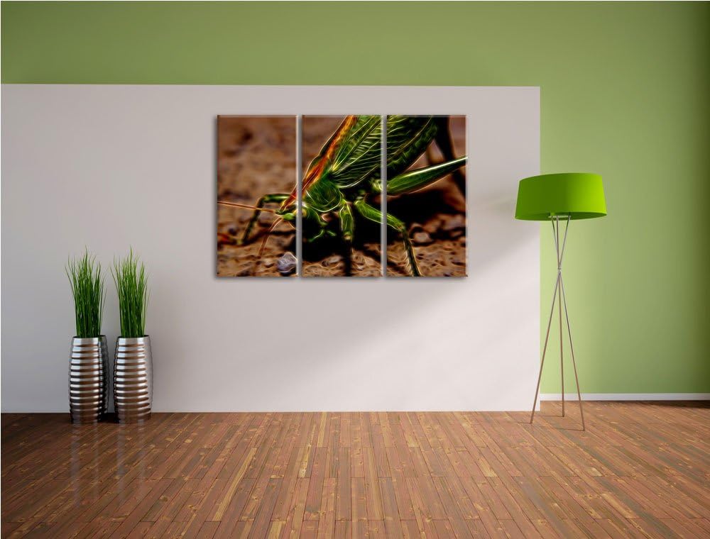 schöne Heuschrecke NewArt 3-Teiler Leinwandbild 120x80 Bild auf Leinwand, XXL riesige Bilder fertig