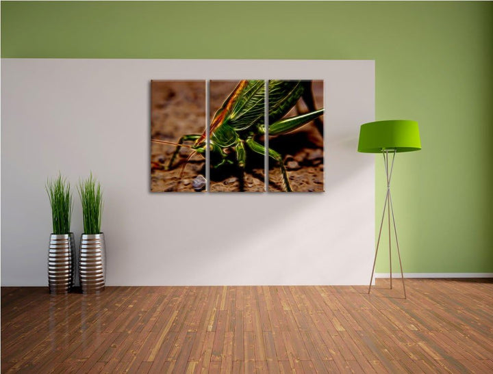 schöne Heuschrecke NewArt 3-Teiler Leinwandbild 120x80 Bild auf Leinwand, XXL riesige Bilder fertig