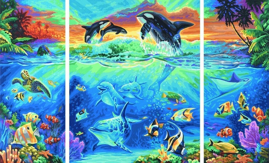 Schipper 609260531 Malen nach Zahlen, Am Korallenriff - Bilder malen für Erwachsene, inklusive Pinse