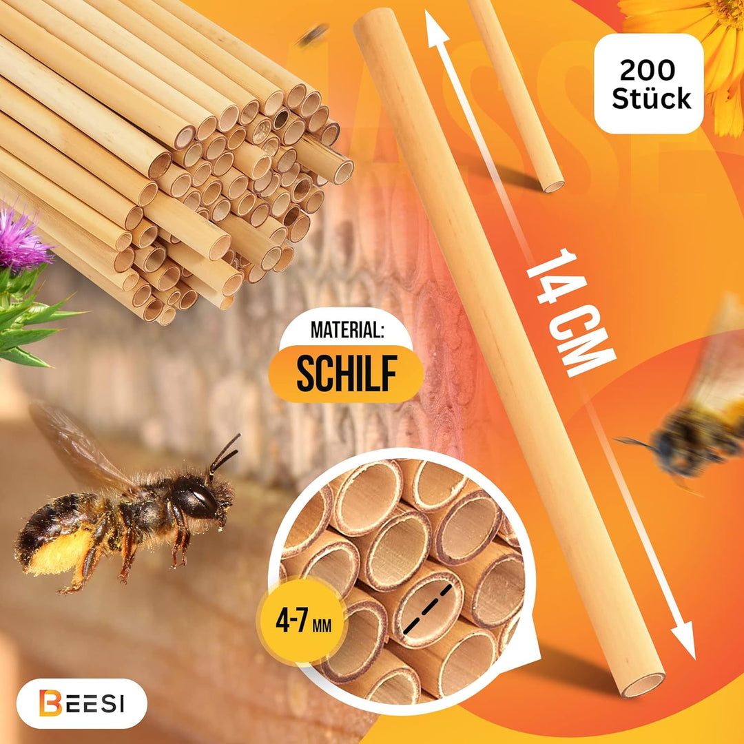 BEESI 200x Nisthülsen 14 cm lang für Insektenhotel aus Schilf I Durchmesser 4-7 mm inkl. E-Book I Fü