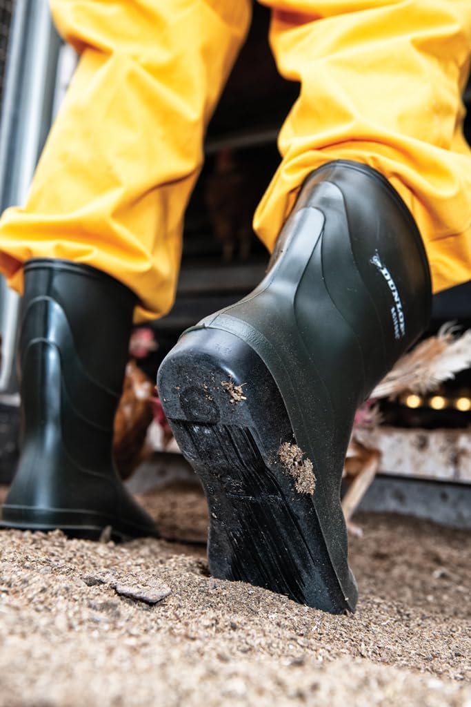 Dunlop Stiefel Desinfektionsstiefel, Grün Grün Groen 08