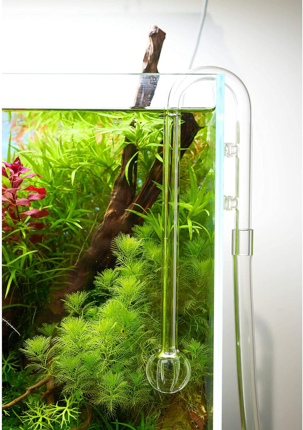 USCAPE Moon Inflow Glas - Aquarium Filtereinlauf (17mm (16/22mm)), 17mm (16/22mm)