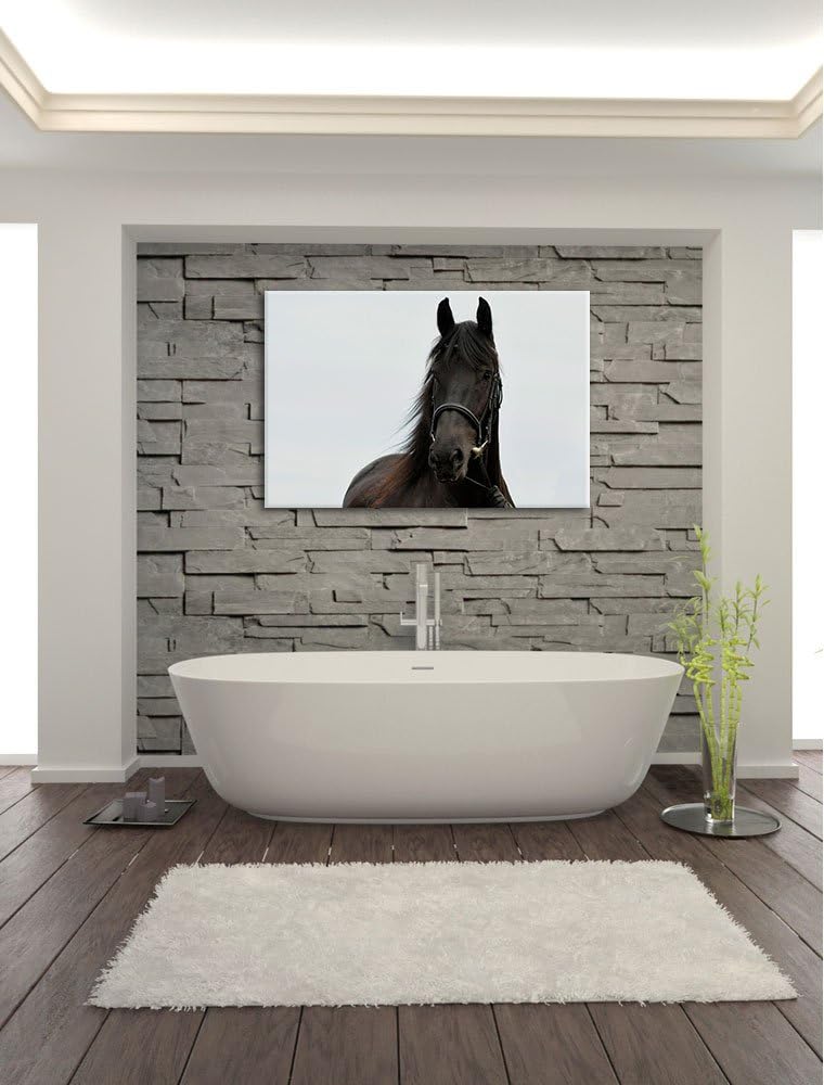 Pixxprint Schönes Pferd, Format: 100x70 auf Leinwand, XXL riesige Bilder fertig gerahmt mit Keilrahm